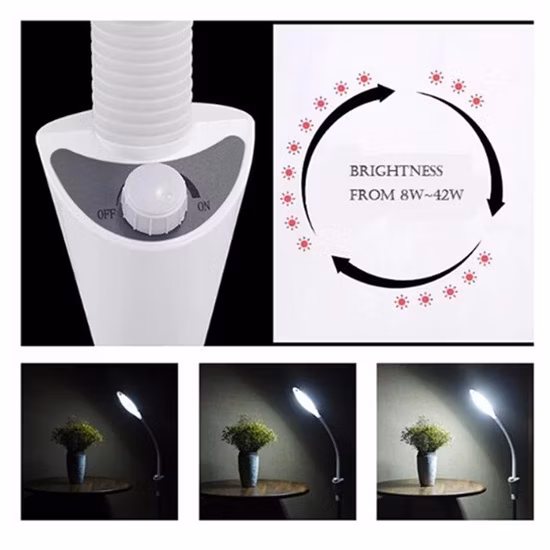 Lampada d'ingrandimento di bellezza del salone con lente d'ingrandimento a LED di vendita calda
